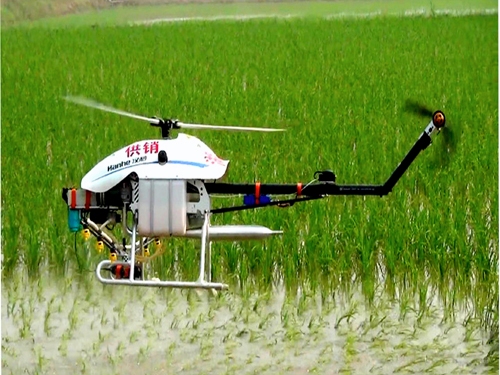 ��������ũ����ֱ����ɱ�� ���ũ��ɱ������