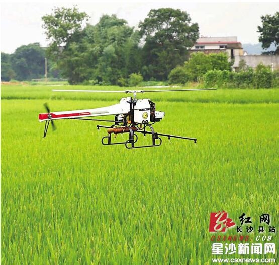 ��ɳ�أ�ˮ�����溦�߷� ֲ���ɻ�������