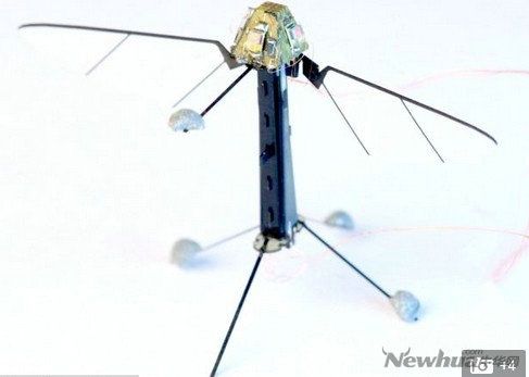 ͨ��������(6.16-20)��ũæʱ�ڷɻ�æ