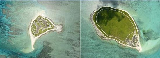 �й��гɳ�����ʱ���˻� �Ļ���ɳ����ͼ��