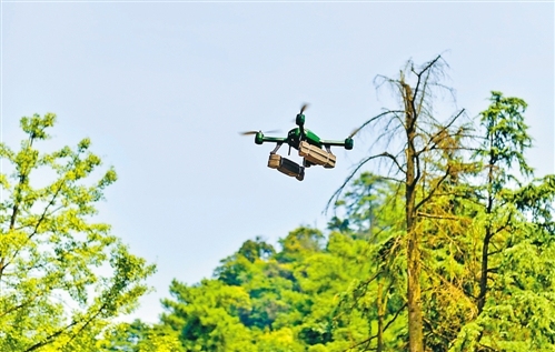 �������״��������˻������Ѳ��ɭ��