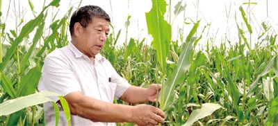 ��Ϲ�����׵���ȳ��ʳ������Ҷ��ȱ