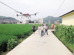 �ٰ��׼�ֲ�����˷ɻ��׷�