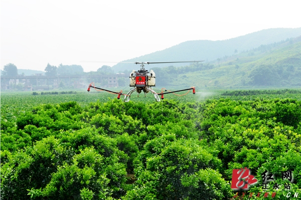 �����ؿ�չ���˷ɻ����θ���ľʭʩҩʵ��