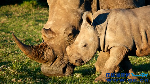 ���˻���2014�������ʲô����֮��