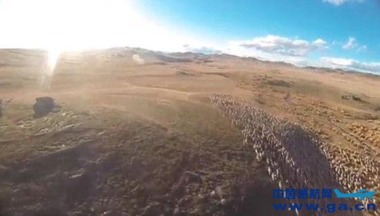 ������ũ�������˻���������Ȯ��2000ֻ��