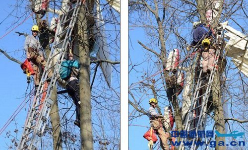 老人被救出前,飞机挂在15米高的树间长达4小时。