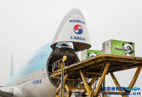 大韩航空专机载中韩友好礼物“熊猫夫妇”抵韩。