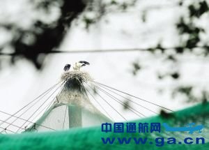 Ұ������Ƶ�ܺ�����ɧ�� ���ȱ����˻�����