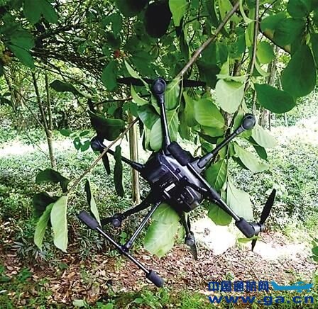 �����������˻�������ѵ ����&ldquo;�ڷ�&rdquo;�Է���