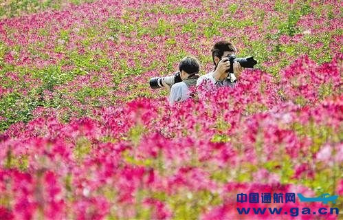 �����ذ�ͨ�û������꿪�� 5�½�ʵ���׷�