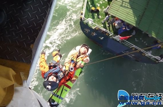 ����һ��Ա�ز����� ����ֱ���������ɸ���Ԯ