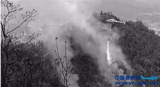 �㽭���ط���ɭ�ֻ��� ����ֱ����������Ԯ��ˮ