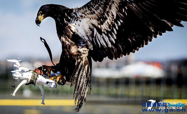 �������˻������� �й��ڷɼ�ʱ�ݣ�