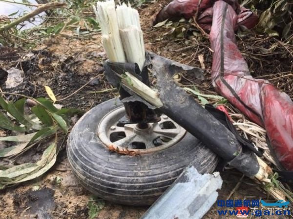 һ�ܻ�����ڽ��ſ�ƽ׹�� �¹����һ������